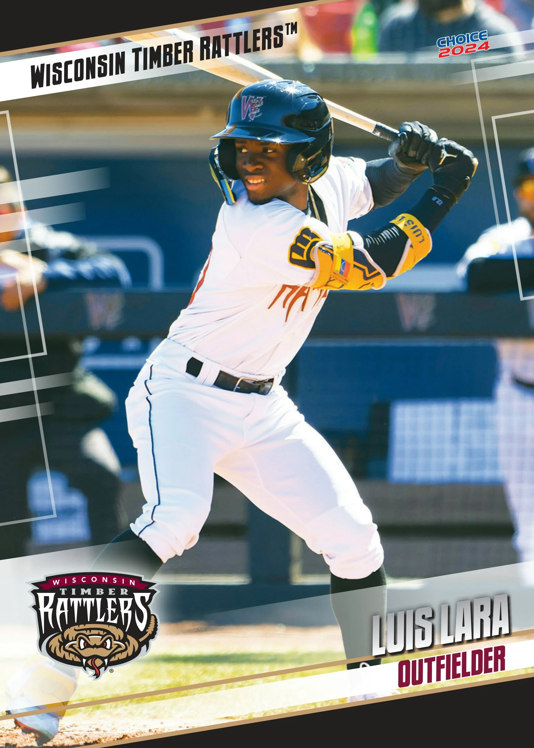 Wisconsin Timber Rattlers 2024 Team Card Set - Image 3